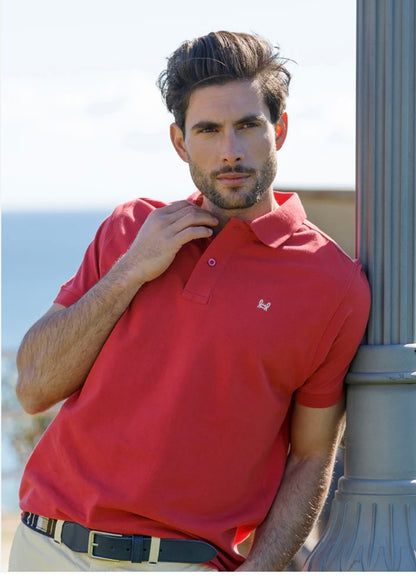 Polo básico Custi Mikelo rojo cereza 🍒 100 % algodón polo hombre